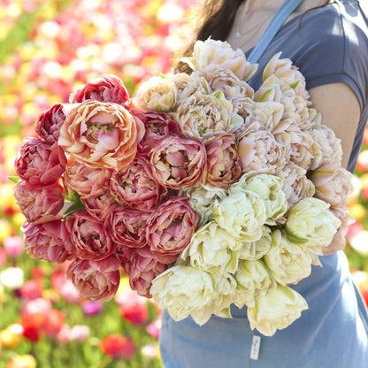 A person holding a pink and yellow bouquet from the golden hour tulip bundle