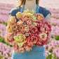 A person holding a pink and yellow bouquet from the la belle epoque and copper image tulip bundle