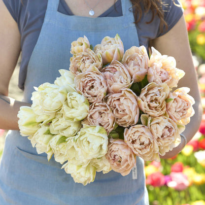 A person holding a pink and yellow bouquet from the pink mist and mount tacoma tulip bundle