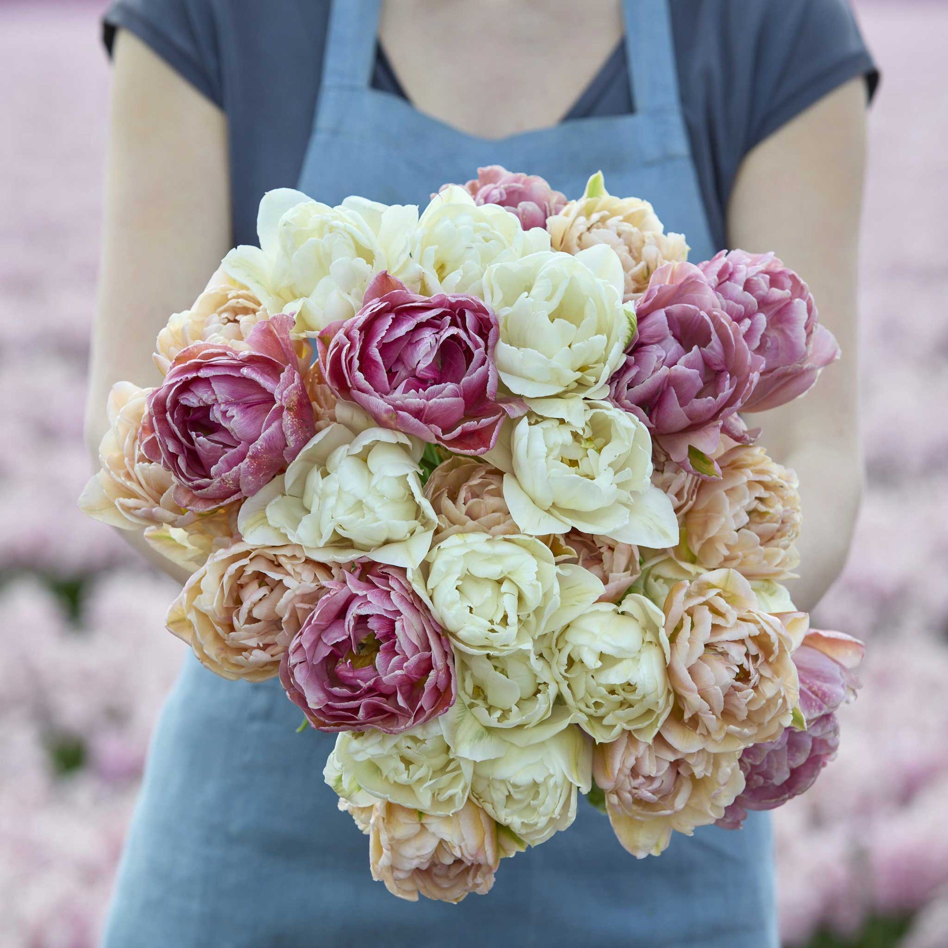 A person holding a pink and yellowish white bouquet from the sunset glow tulip bundle