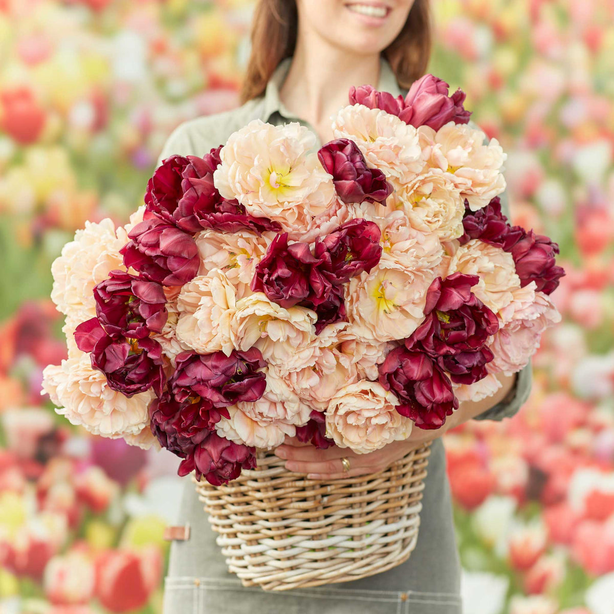 tulip deluxe double mix