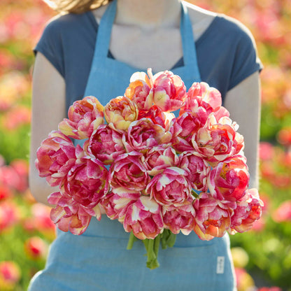 Person holding a bouquet of pink and yellow double blizz tulip flowers against a blurred natural background