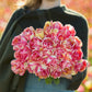 Person holding a bouquet of pink and yellow double blizz tulip flowers against a blurred natural background