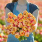 Person holding a bouquet of pink and yellow double marit tulips in a field
