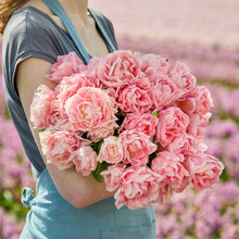 Person holding a bouquet of pink dreamer tulip flowers against a blurred natural background