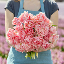 Person holding a bouquet of pink dreamer tulip flowers against a blurred natural background