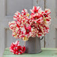 Bouquet of estella rijnveld tulips in a metal pot.