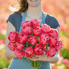 Person holding a bouquet of red etched salmon tulips with a blurred floral background