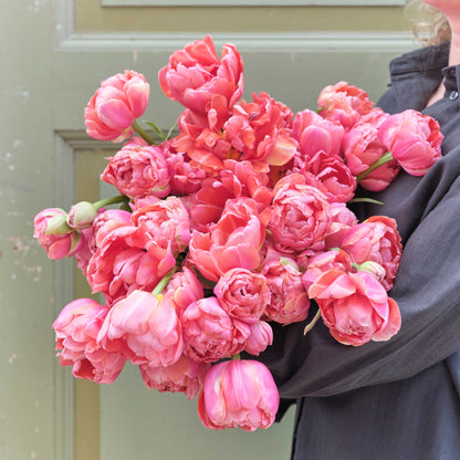 Bouquet of pink etched salmon tulips held by a person against a light green door.