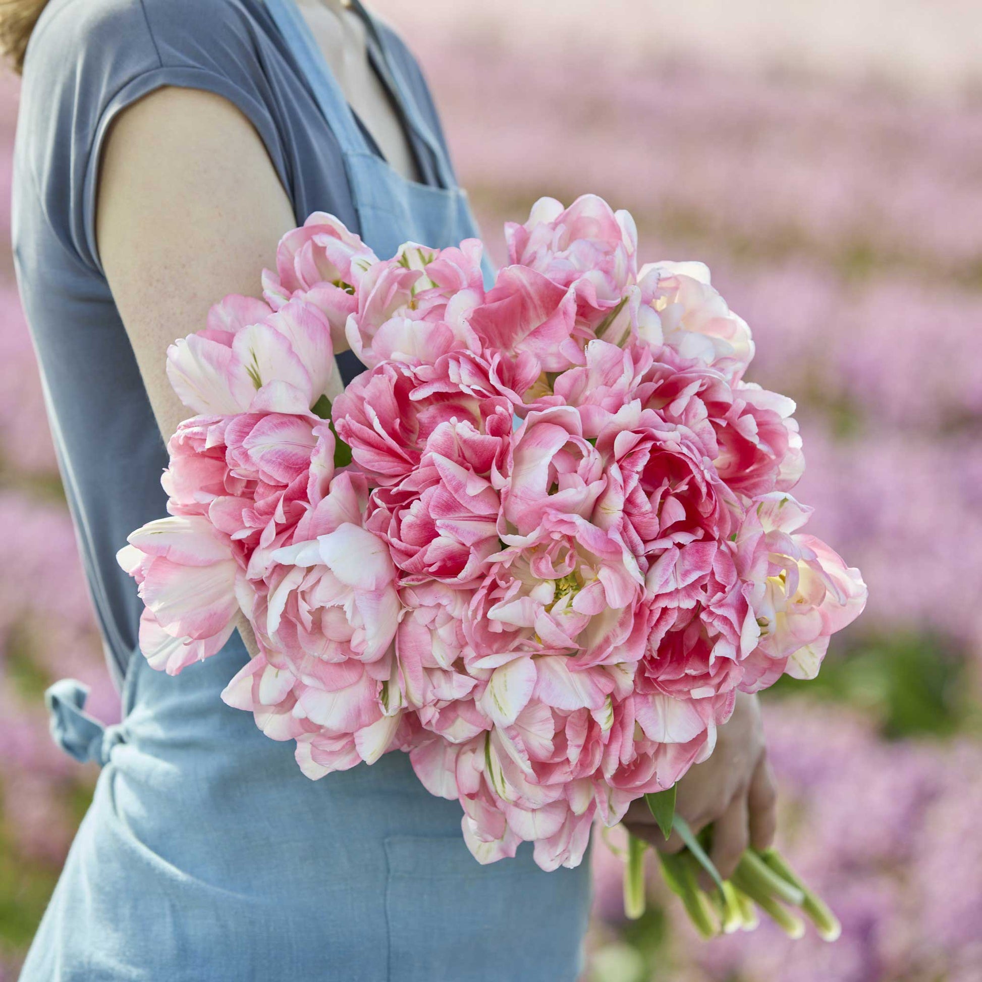 Person holding a large bouquet of pink finola tulips in a field with pink flowers in the background