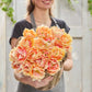 Person holding a basket of peach-colored foxy foxtrot tulips against a neutral background