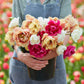 tulip garden party mix