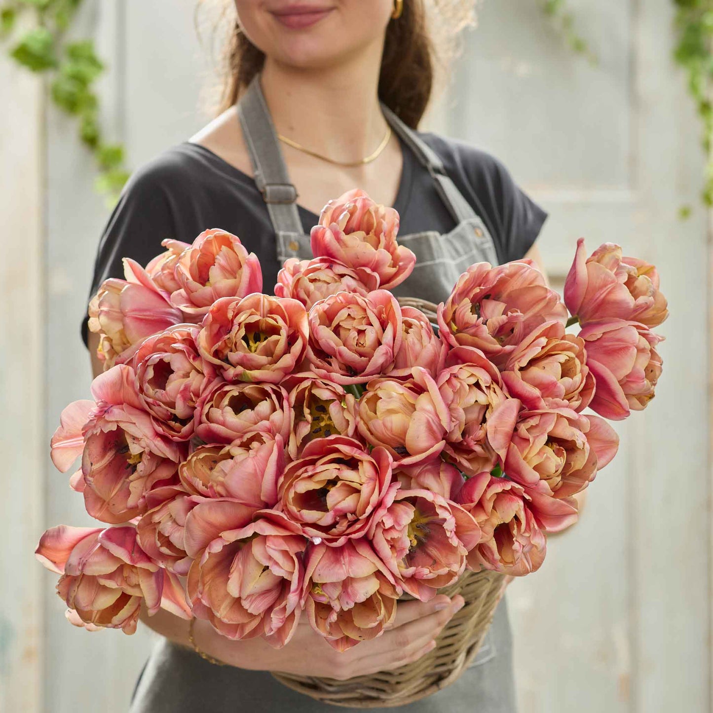 tulip la belle epoque