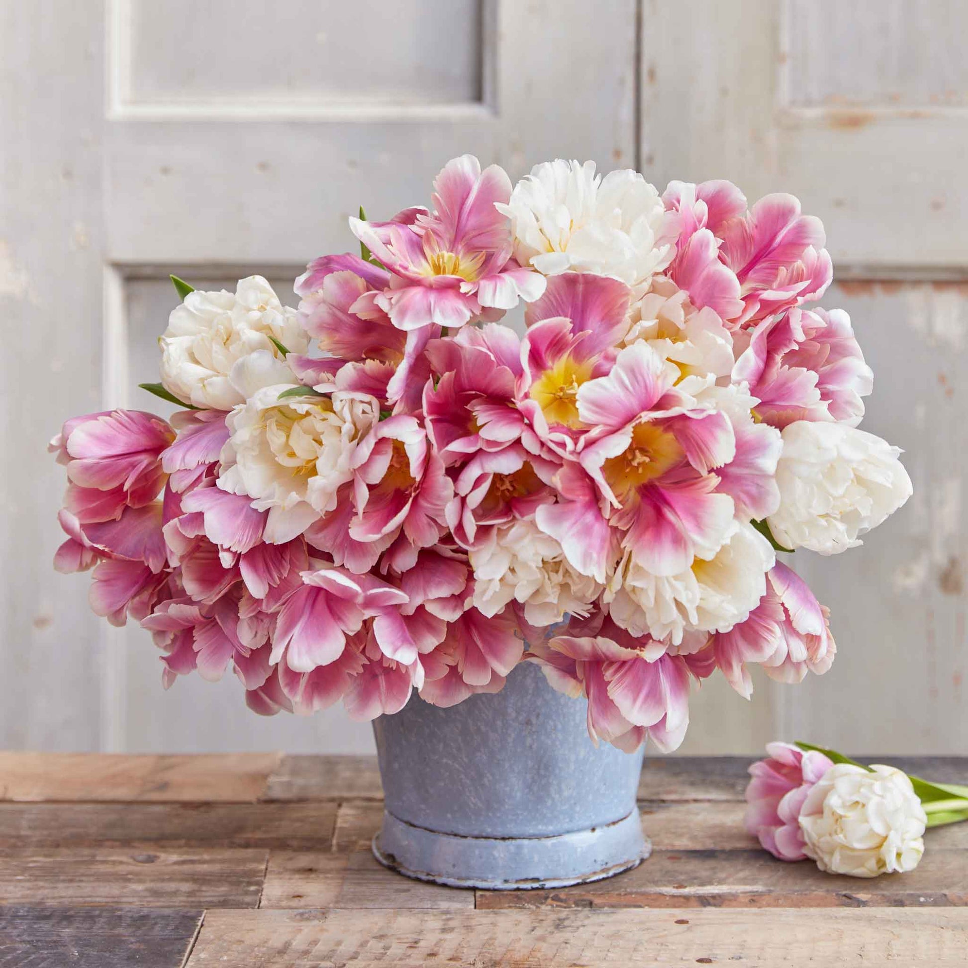 tulip mothers day mix