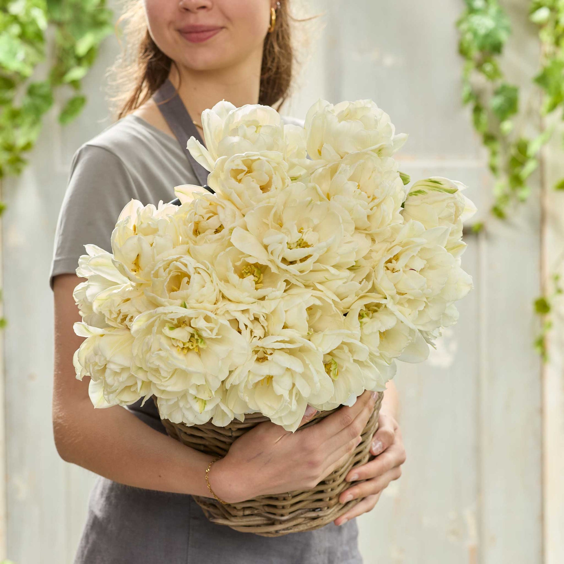 Person holding a large bouquet of white mount tacoma tulips in a wicker basket.