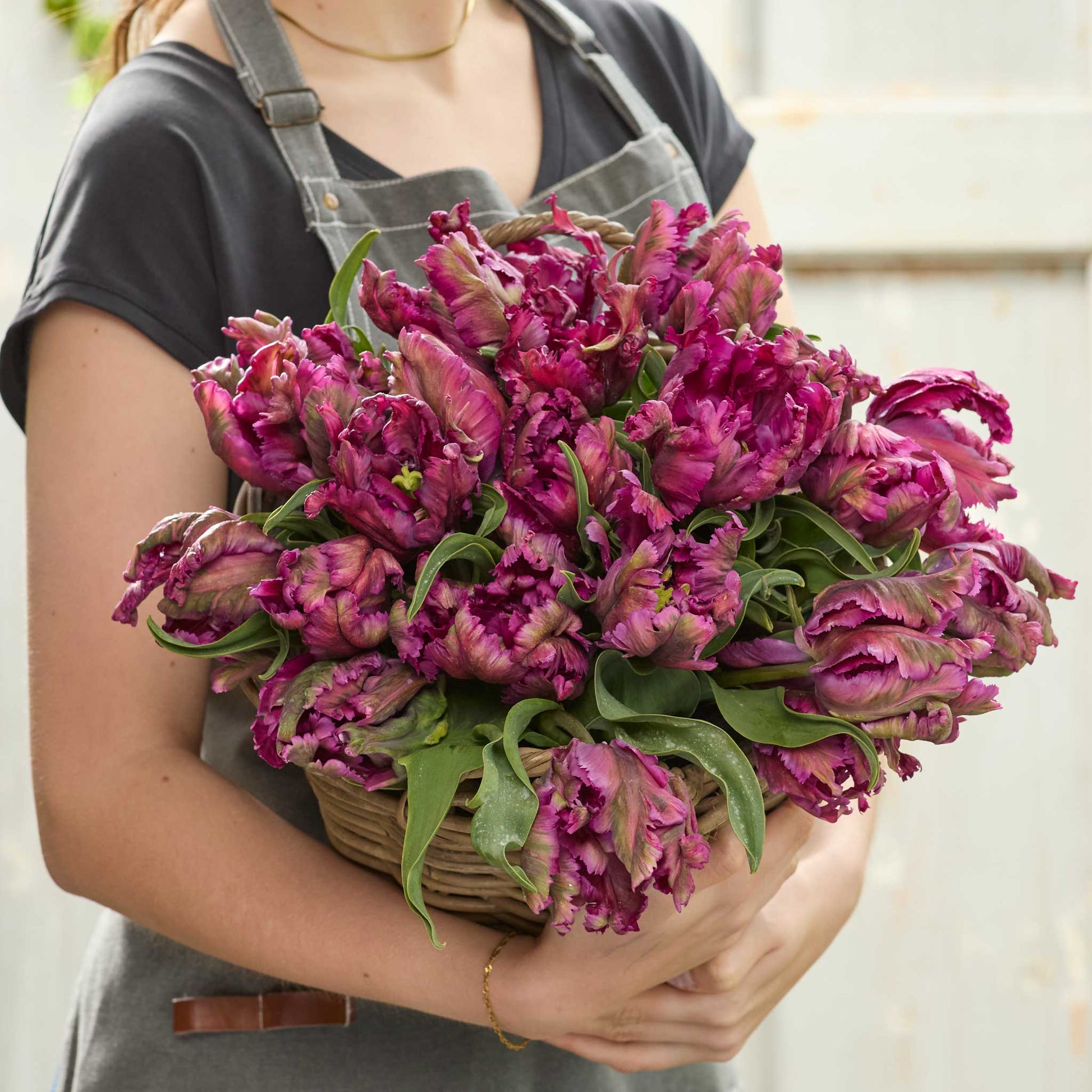 Person holding a basket of purple negrita parrot tulips against a neutral background