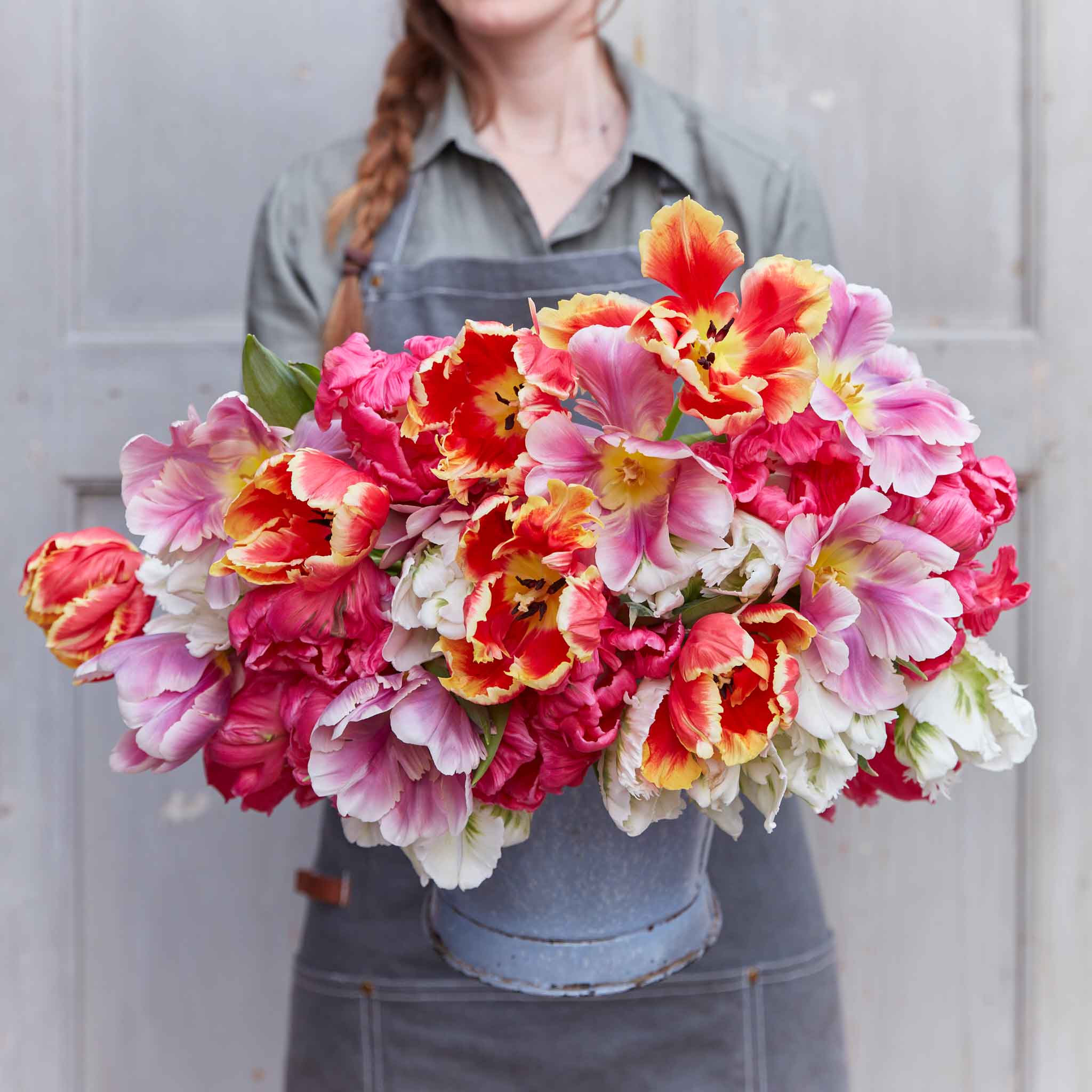 Flower Bulbs & Heirloom Seeds Vegetables, Herbs, and Wildflowers