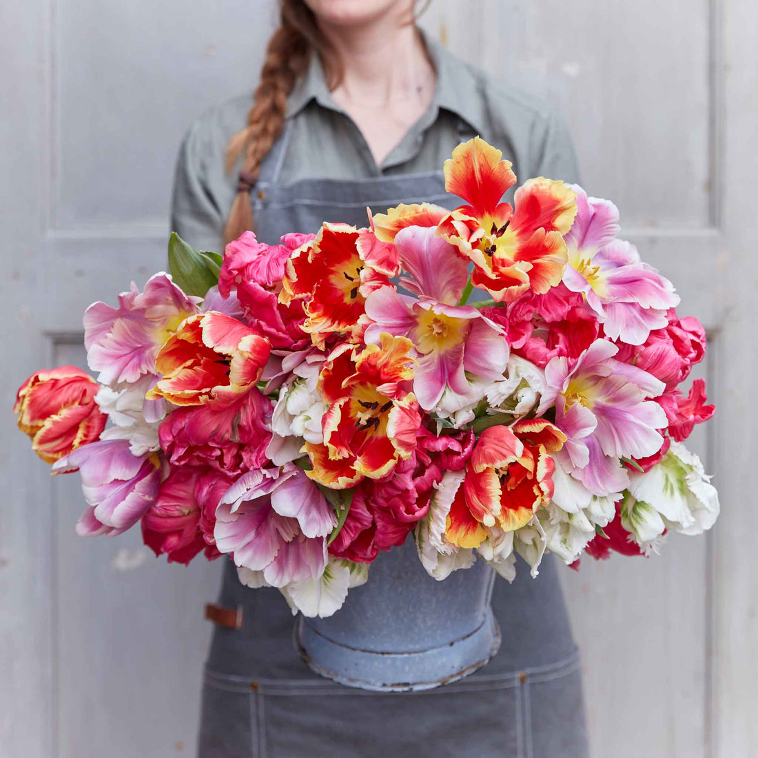 Flower Bulbs & Heirloom Seeds Vegetables, Herbs, and Wildflowers