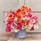 tulip perfect parrot mix