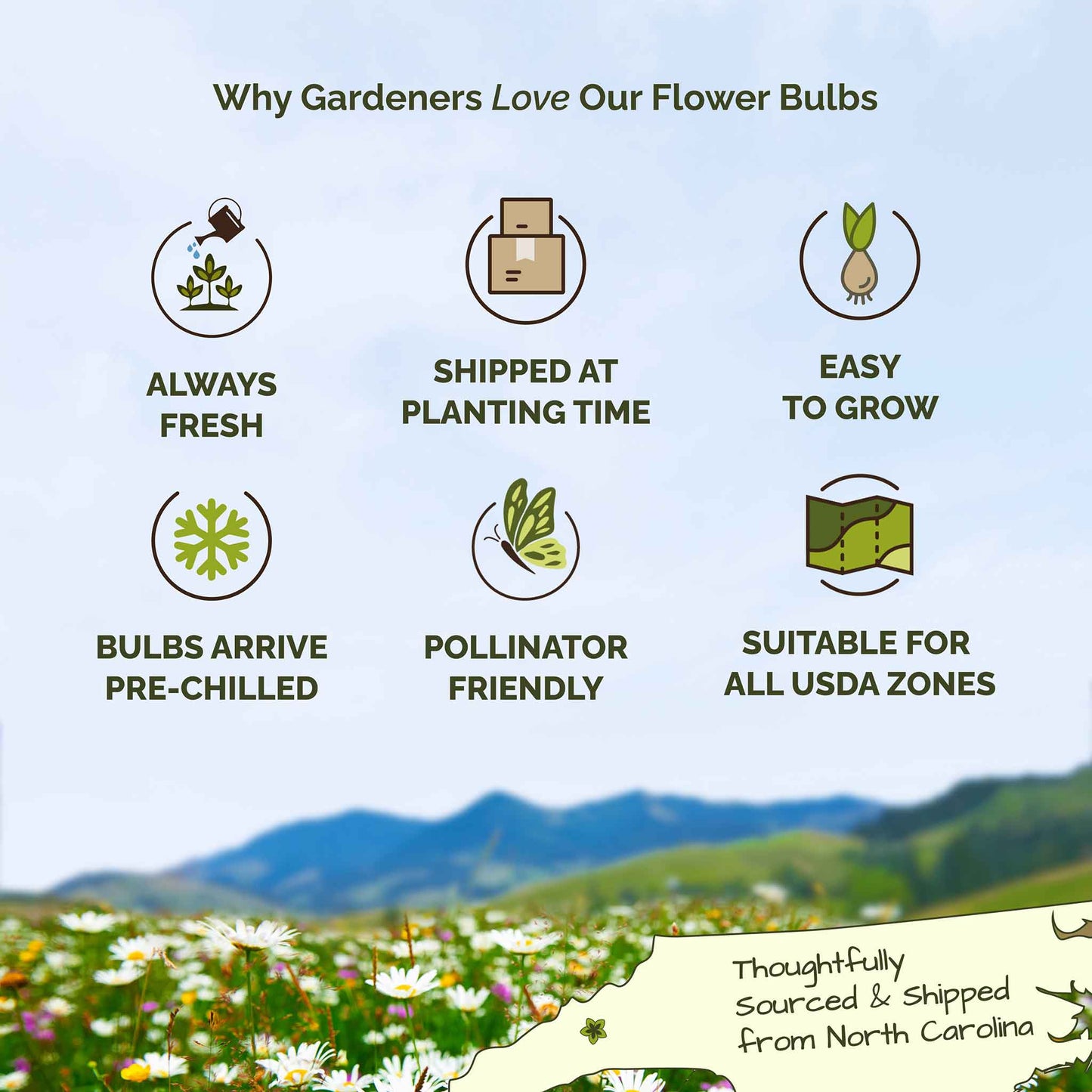 List of reasons why gardeners love flower bulbs with icons and text on a scenic background.