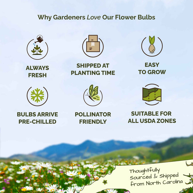 List of reasons why gardeners love flower bulbs with icons and text on a scenic background.