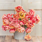 tulip verona sunrise