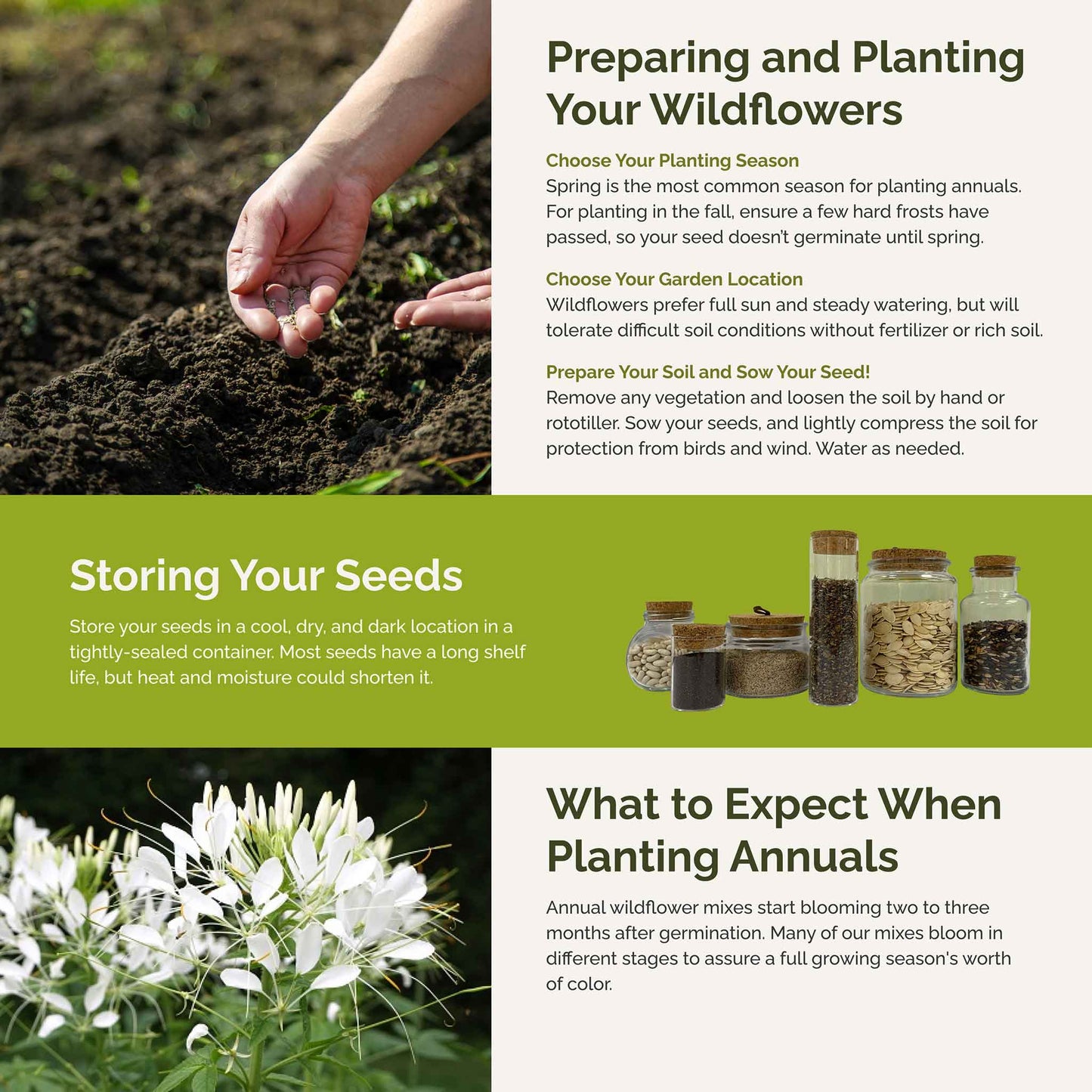 vintage lace planting