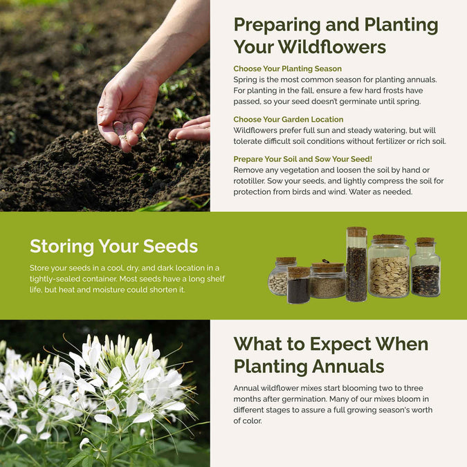 vintage lace planting
