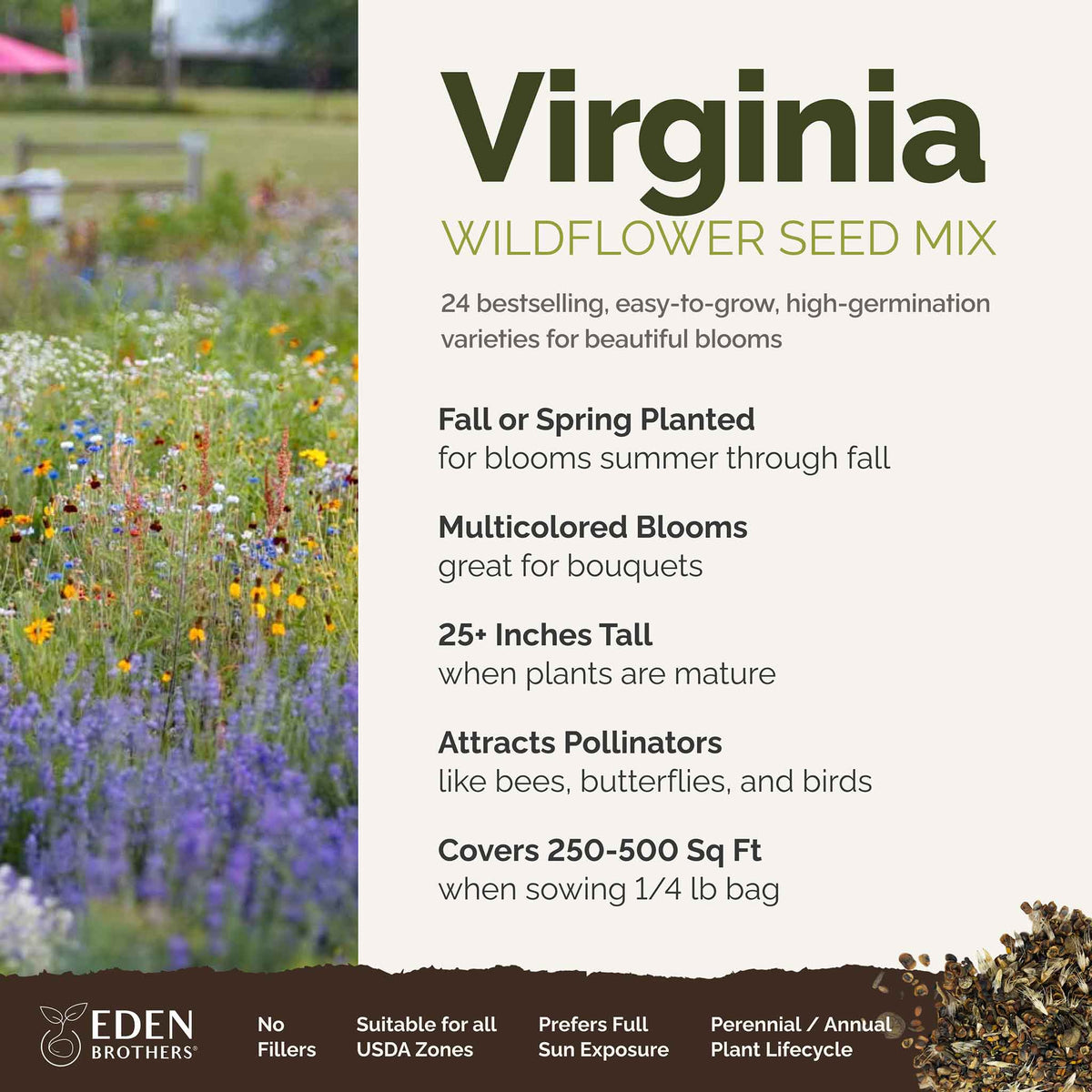 A visual overview of the wildflower seed mix, showcasing expected floral blooms.