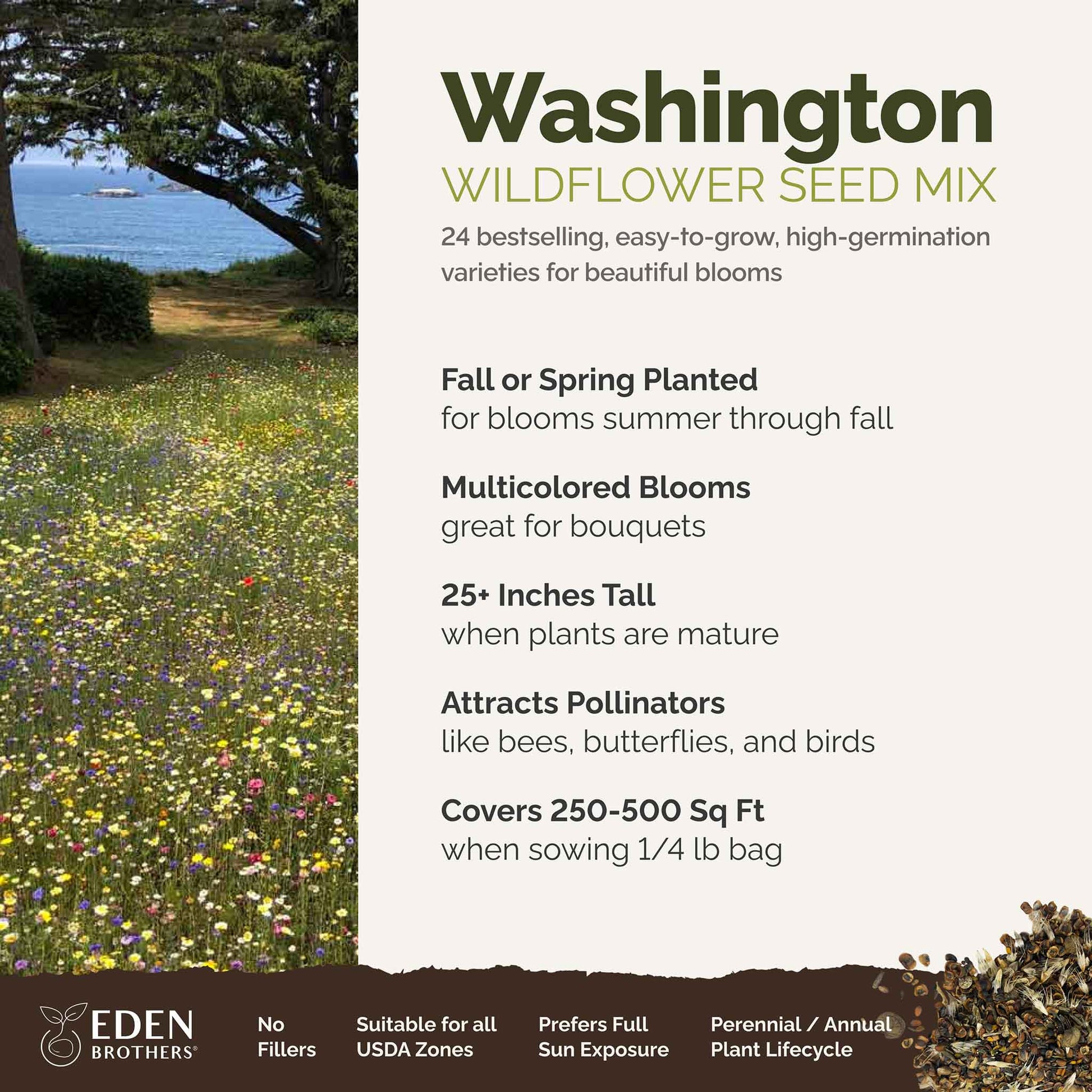 A visual overview of the wildflower seed mix, showcasing expected floral blooms.