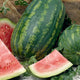 Watermelon Seeds (Organic) - Jubilee Improved