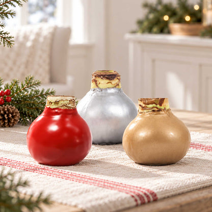 Silver, red, and gold wax amaryllis bulb with red blooms in an indoor setting showing only the bulb