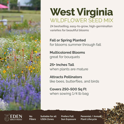 A visual overview of the wildflower seed mix, showcasing expected floral blooms.