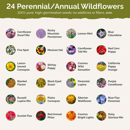 List of flower species and seeds included in the Wildflower Seed Mix.