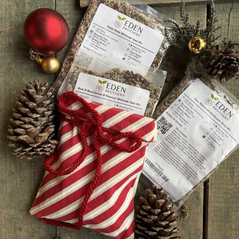 Eden Brothers seed packets with a red and white striped bag on a wooden surface with Christmas decorations.