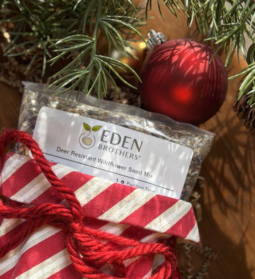 Eden Brothers deer resistant wildflower seed mix packet with a red ribbon and Christmas tree decorations.