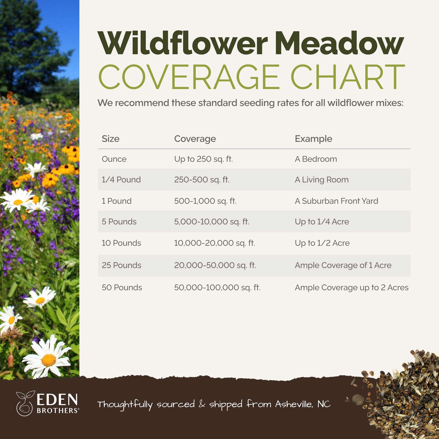 All Perennial Wildflower Seed Mix Eden Brothers