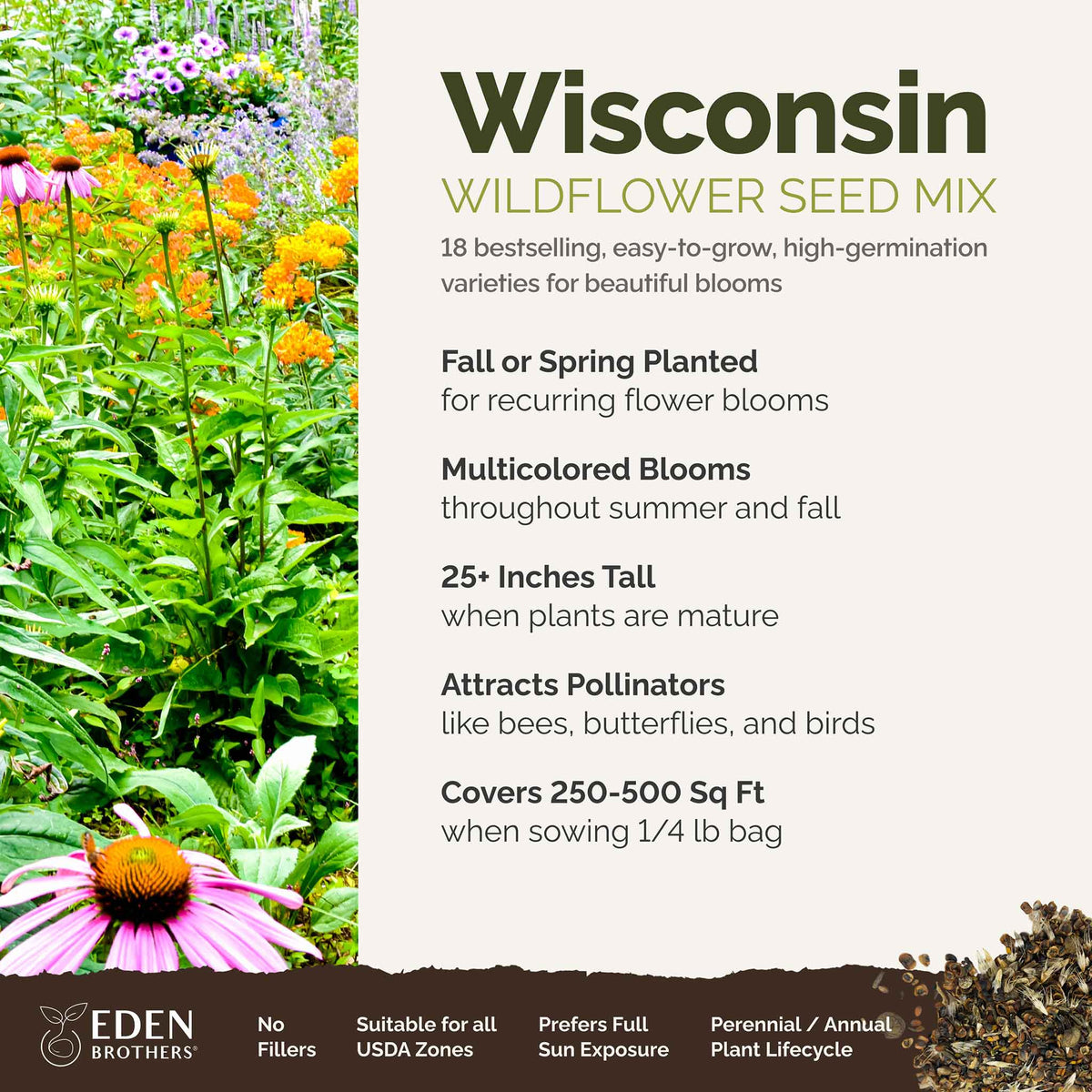 Wisconsin Seeds Wisconsin Wildflower Seed Mix | Wildflower Seeds | Eden Brothers