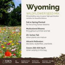 A visual overview of the wildflower seed mix, showcasing expected floral blooms.