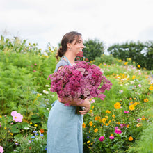 Person holding a large bouquet of purple flowers from the yarrow cherry crush bundle in a garden setting