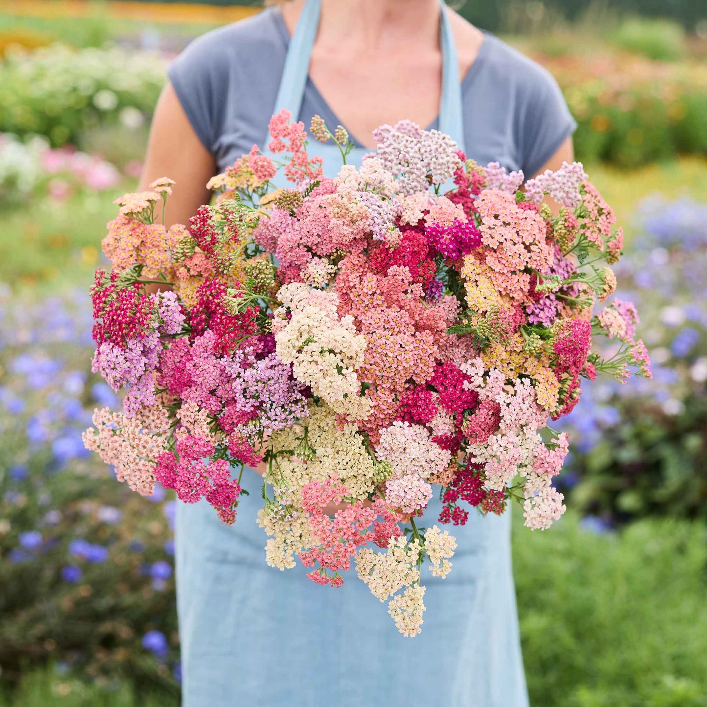 Person holding a large bouquet of colorful yarrow summer berries flowers in a garden setting
