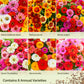 Graphic displaying mix contents of zin master wildflower mix