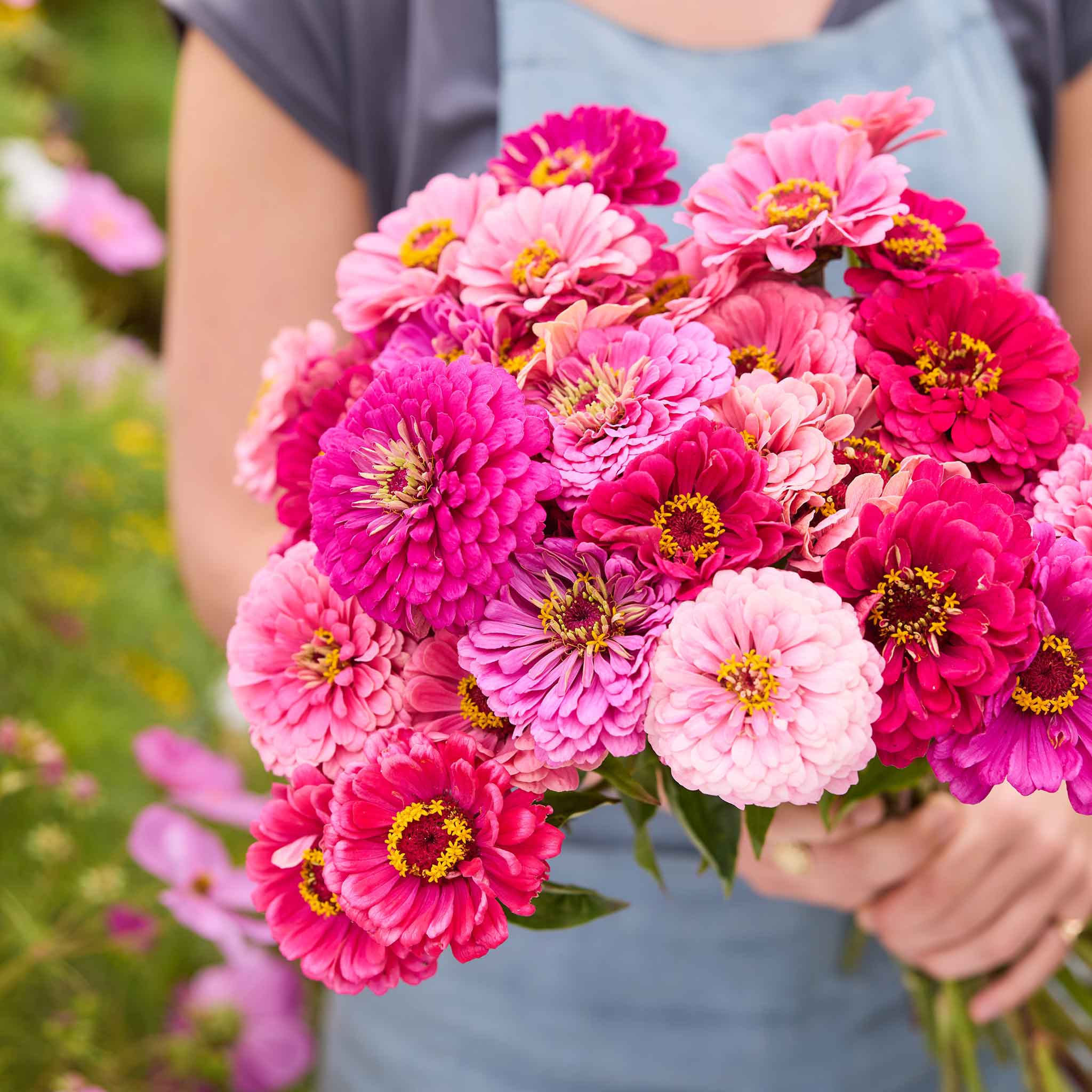 Person holding a bouquet of art deco mix zinnia flowers in a garden setting