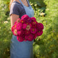 A person holding a bouquet of benary giant wine Zinnia flowers with green foliage in the background.