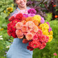 Person holding a vibrant bouquet of benary giant flame bundle flowers in a garden setting