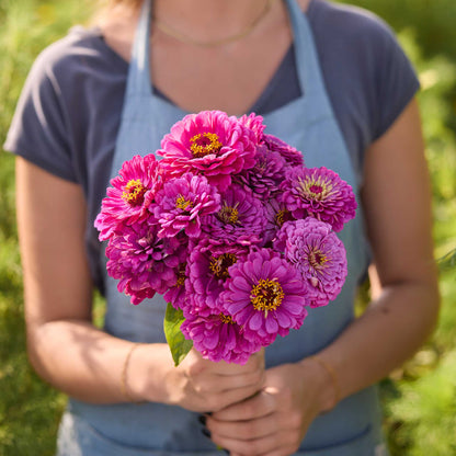 Person holding a bouquet of pink and purple flowers from the zinnia benary lilac and scarlet bundle in a garden setting