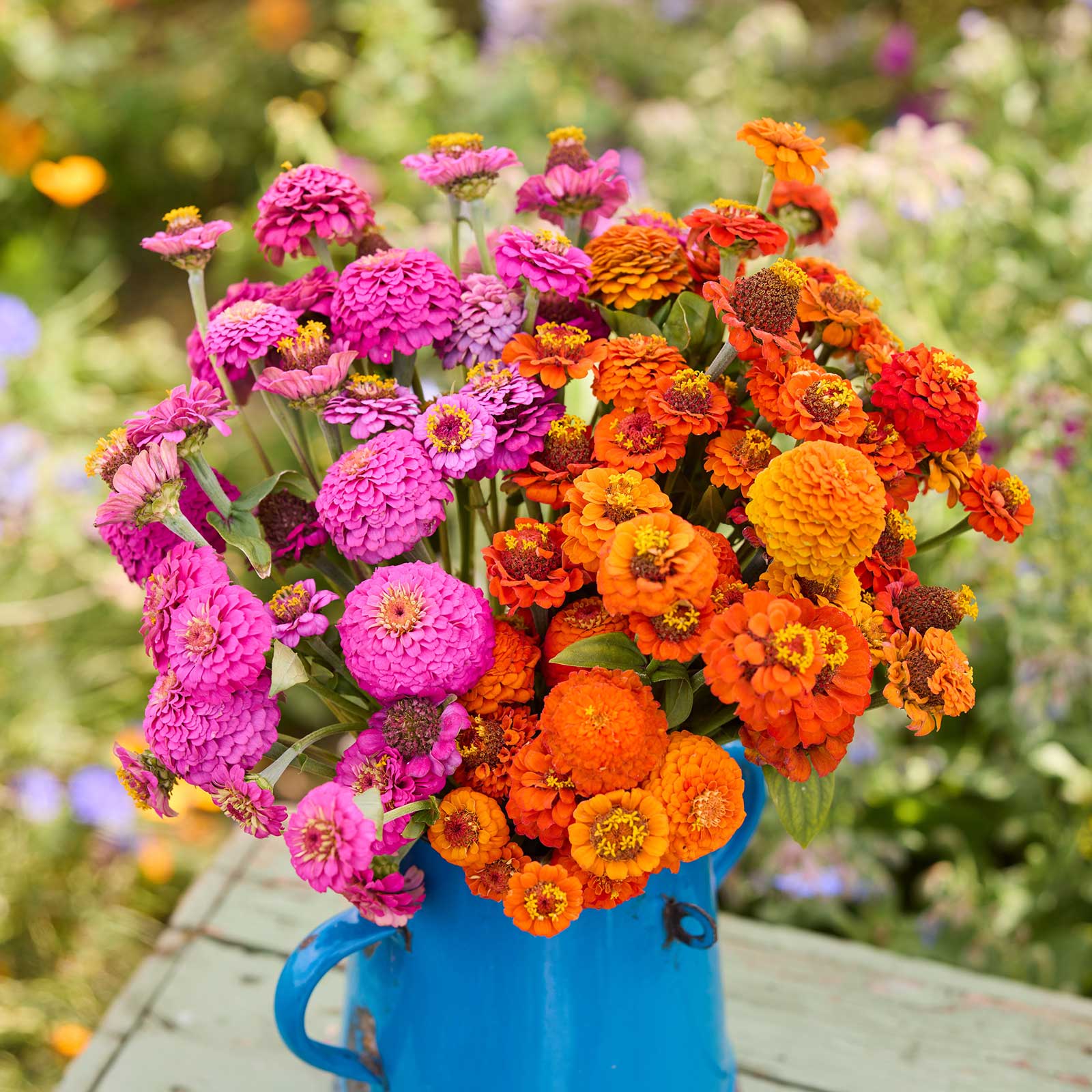 A bouquet of flowers from the zinnia lilliput orange and purple bundle in a garden setting
