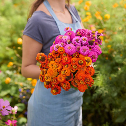 Person holding a bouquet of flowers from the zinnia lilliput orange and purple bundle in a garden setting