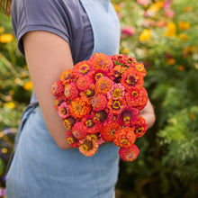 Person holding a bouquet of orange flowers from the zinnia lilliput series bundle in a garden setting
