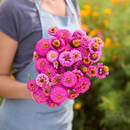 Person holding a bouquet of pinkish purple flowers from the zinnia lilliput series bundle in a garden setting
